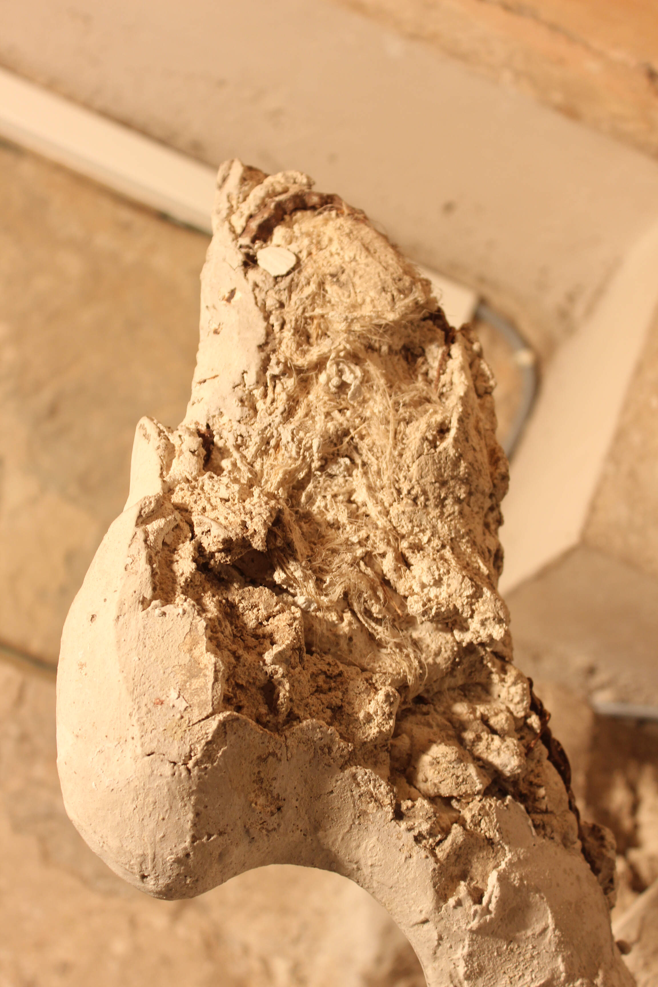 Detail of the damaged wing of a stucco angel, showing the exposed interior with vegetal fibers.